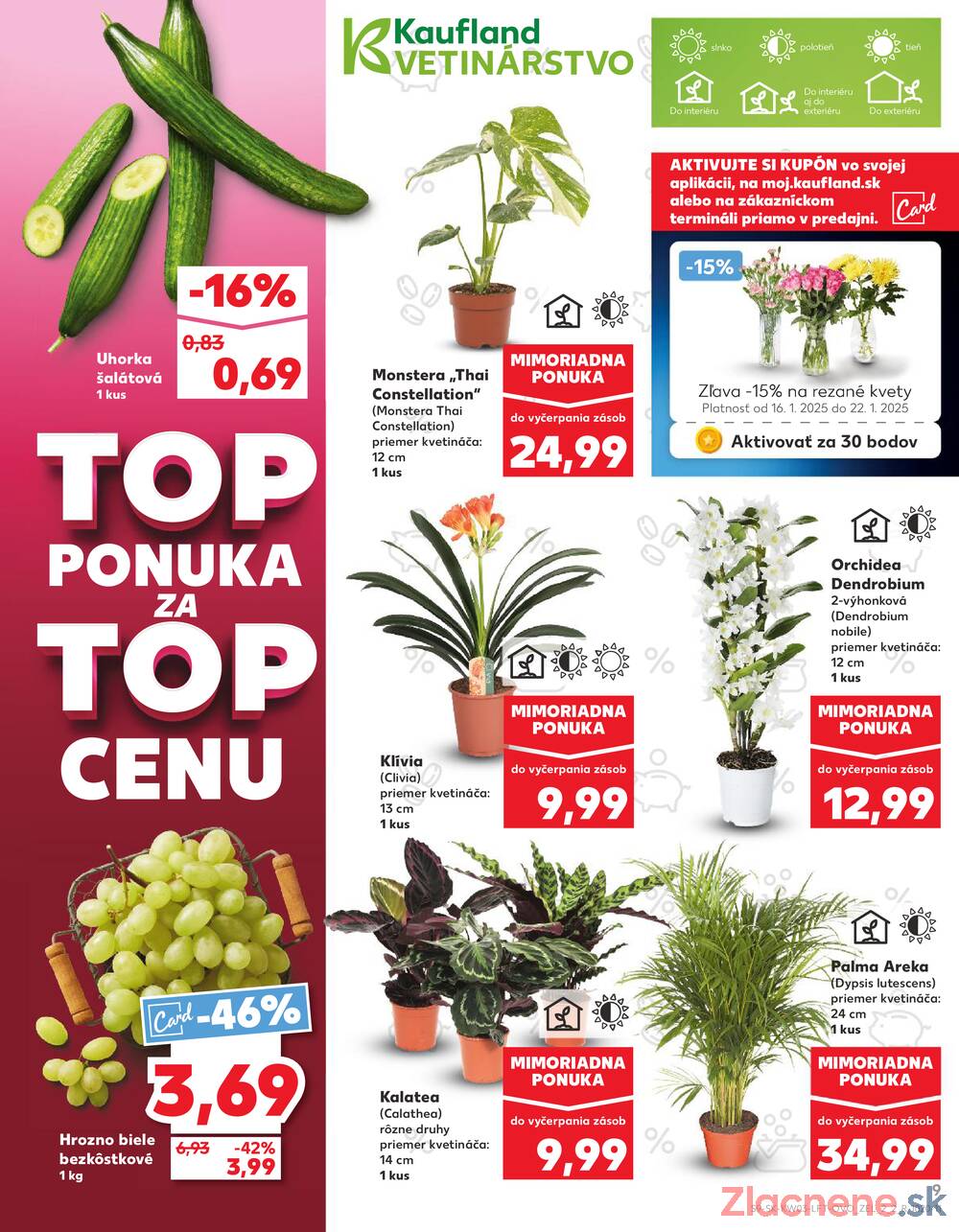 Leták Kaufland - Kaufland 16.1. - 22.1. - Kaufland Kežmarok - strana 9