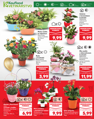 Kaufland 7.5. - 14.5. - Kaufland Bratislava - Rača