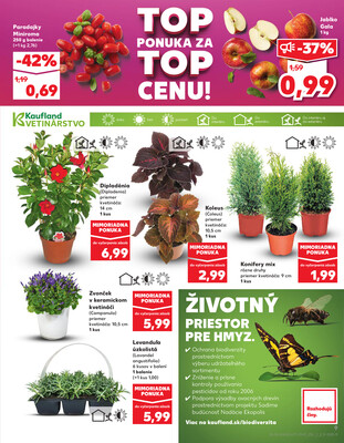 Kaufland 15.5. - 21.5. - Kaufland Zvolen
