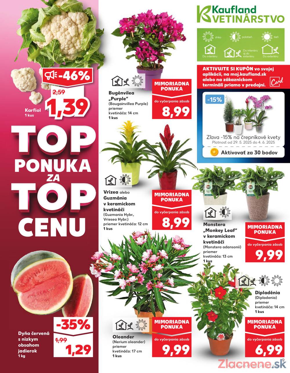 Leták Kaufland - Kaufland 29.5. - 4.6. - Kaufland Lučenec - strana 9