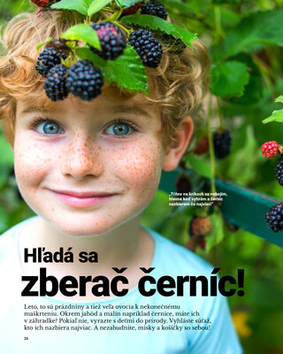 Leták Tescoma
		  platný do 31.8.2025 - strana 26