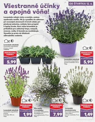 Kaufland 12.6. - 18.6. - Kaufland Topoľčany