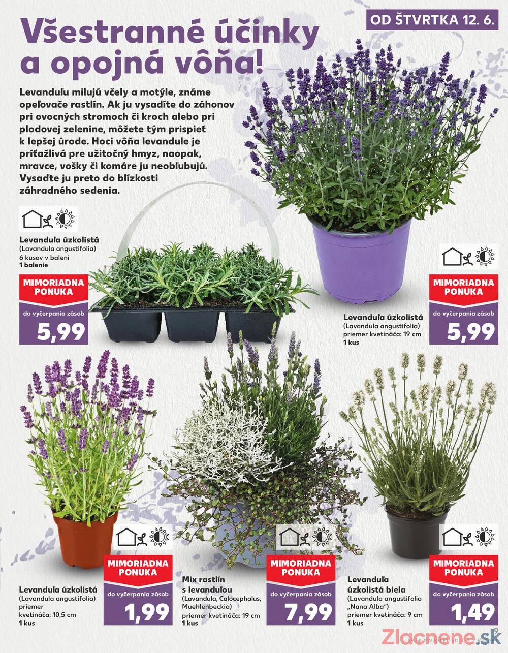 Leták Kaufland - Kaufland 12.6. - 18.6. - Kaufland Martin-Podhaj - strana 9