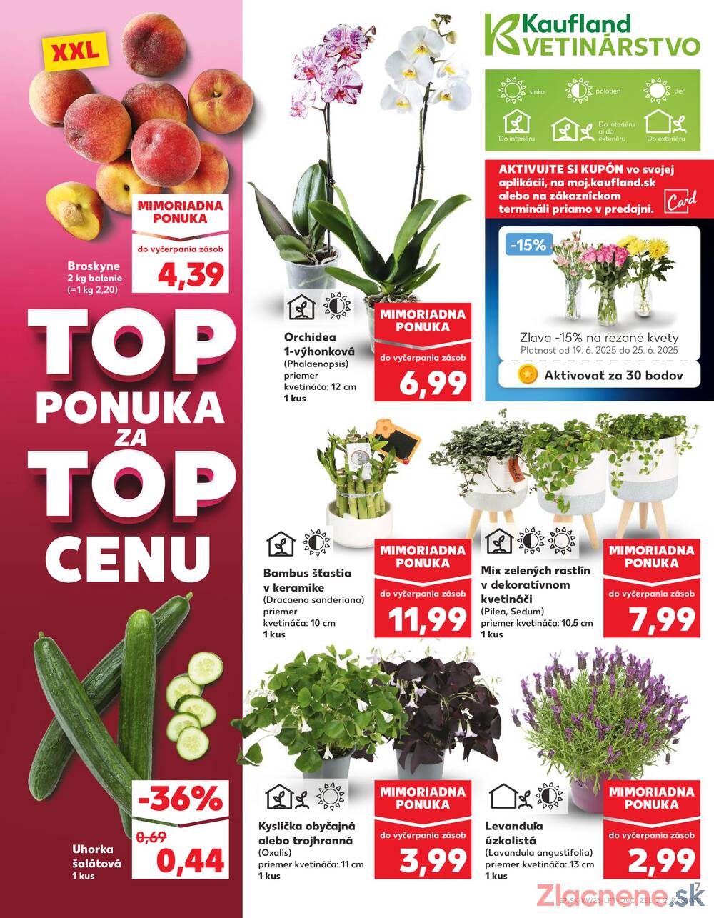 Leták Kaufland - Kaufland 19.6. - 25.6. - Kaufland Bratislava - Nové Mesto - strana 7