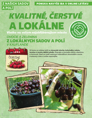 Kaufland 19.6. - 25.6. - Kaufland Bratislava - Nové Mesto