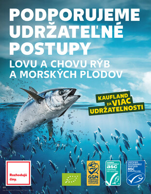 Kaufland 31.7. - 6.8. - Kaufland Trnava - Nová ul.