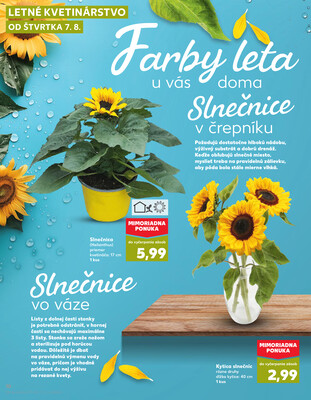 Kaufland 7.8. - 13.8. - Kaufland Dubnica nad Váhom