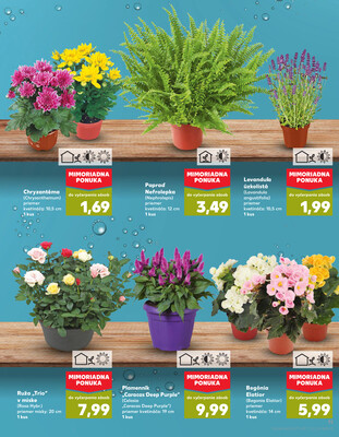 Kaufland 7.8. - 13.8. - Kaufland Dubnica nad Váhom