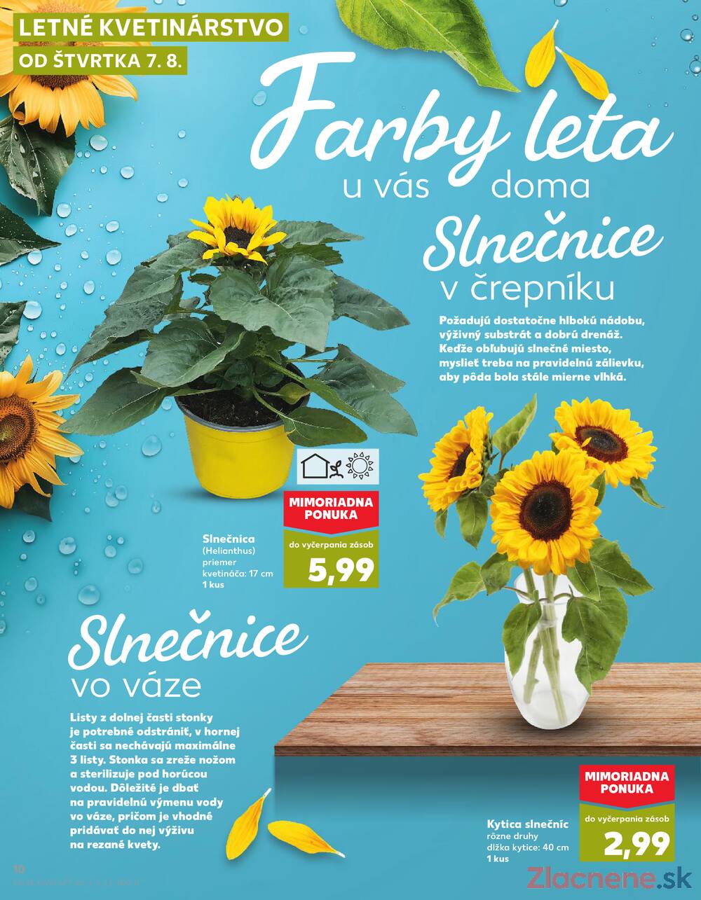 Leták Kaufland - Kaufland 7.8. - 13.8. - Kaufland Trenčín - strana 10