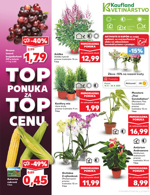 Kaufland 14.8. - 20.8. - Kaufland Rožňava