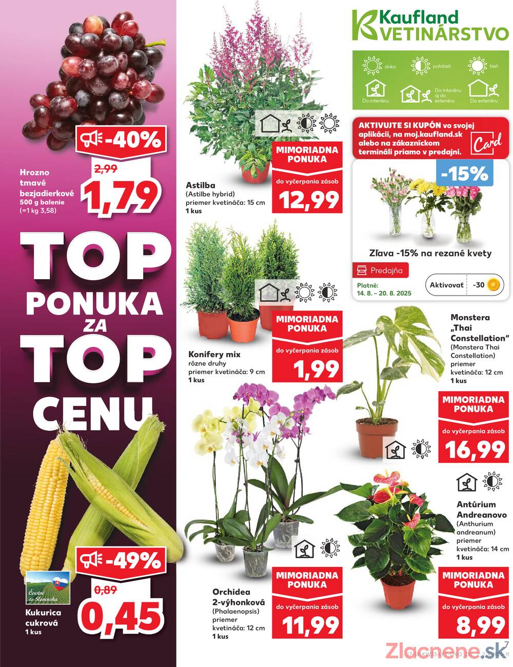 Leták Kaufland - Kaufland 14.8. - 20.8. - Kaufland (Kasárenská, Šamorín) - strana 7