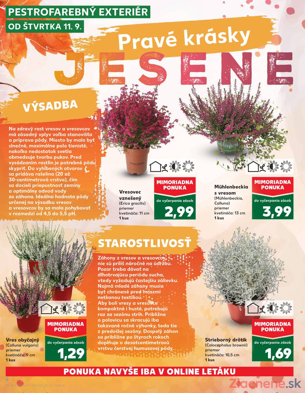 Leták Kaufland - Kaufland 11.9. - 17.9. - Kaufland Detva - strana 8