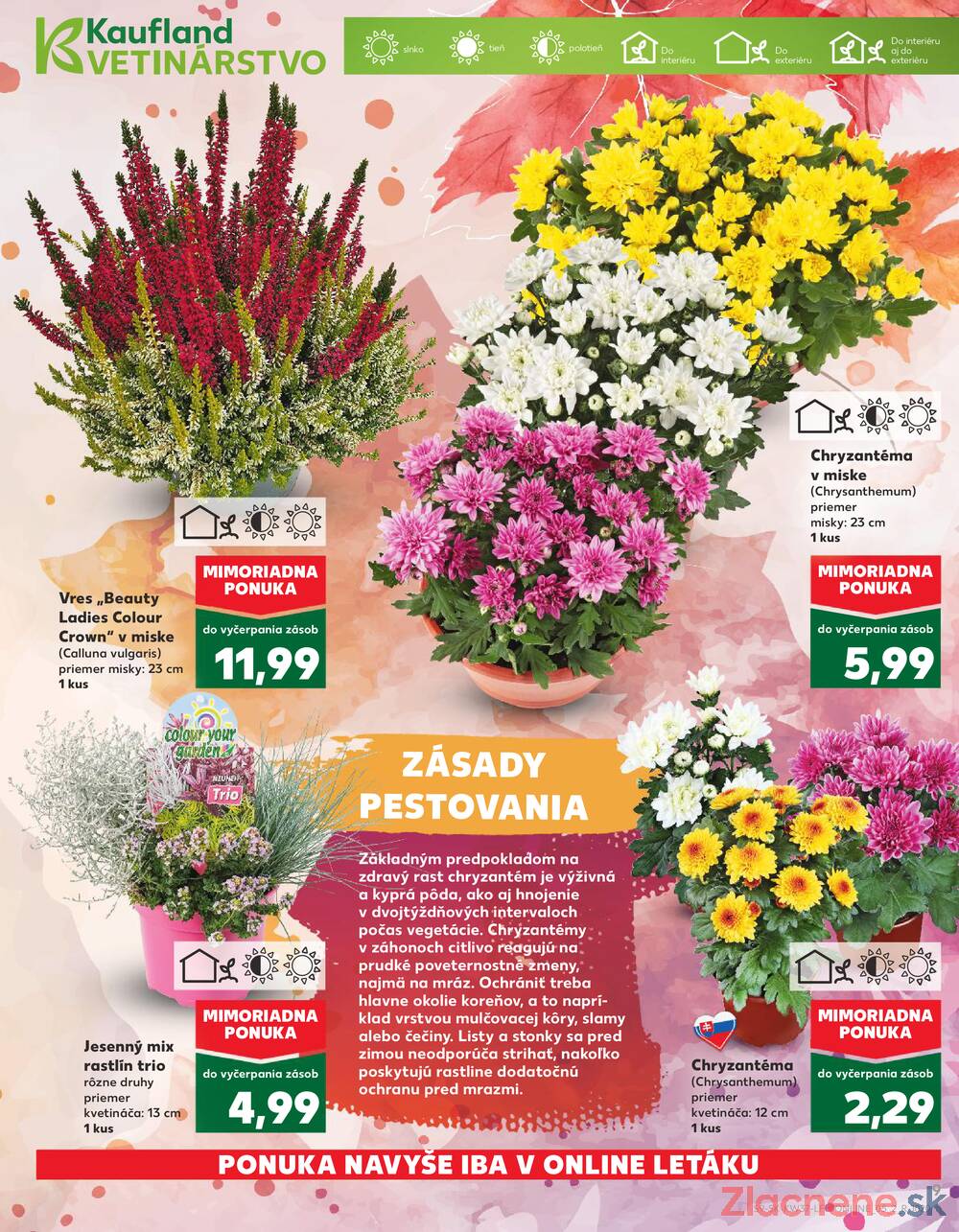 Leták Kaufland - Kaufland 11.9. - 17.9. - Kaufland Detva - strana 9