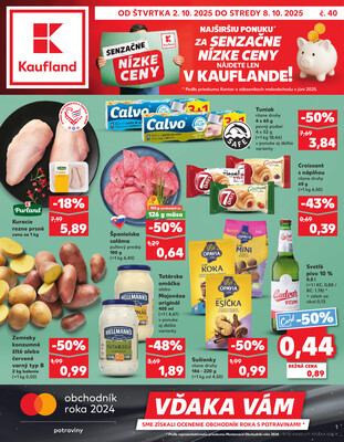 Kaufland : 170 letákov