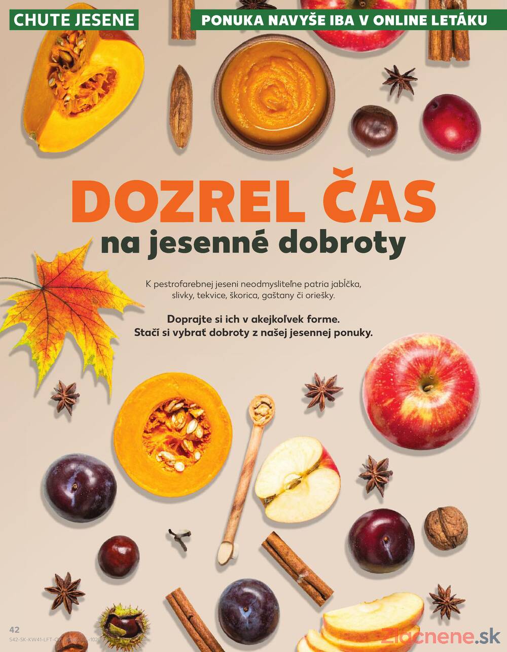 Leták Kaufland - Kaufland 9.10. - 15.10. - Kaufland Bratislava - Nové Mesto - strana 42
