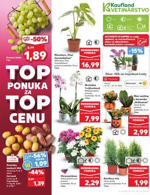 Kaufland 16.10. - 22.10. - Kaufland Bytča