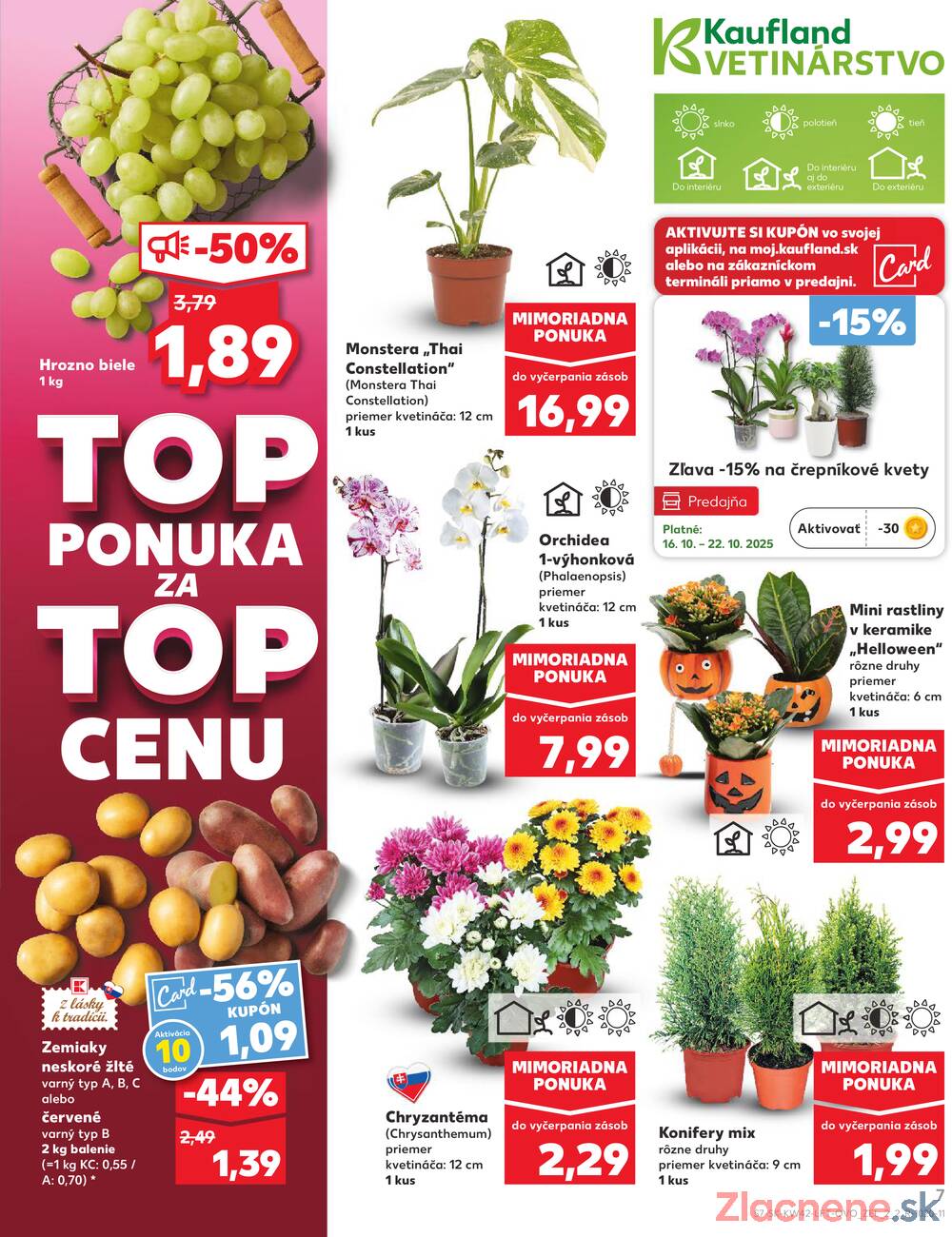 Leták Kaufland - Kaufland 16.10. - 22.10. - Kaufland Topoľčany - strana 7