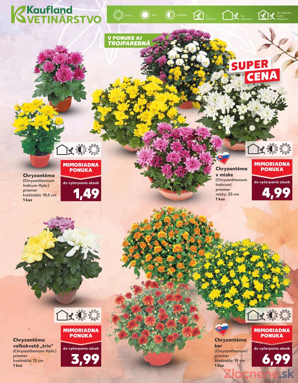 Leták Kaufland - Kaufland 23.10. - 29.10. - Kaufland Michalovce (Humenská cesta) - strana 9