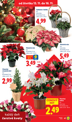 Leták Lidl
platný do 16.11.2025 - strana 35