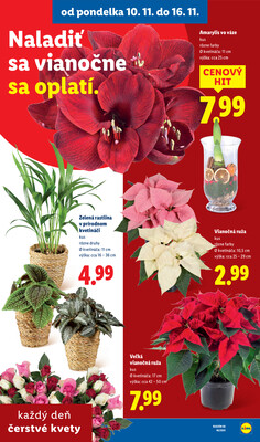 Leták Lidl
platný do 16.11.2025 - strana 87