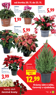 Leták Lidl
		  platný do 23.11.2025 - strana 31