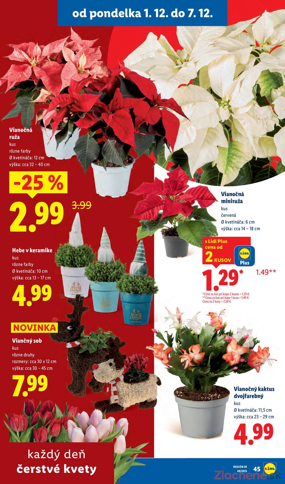 Leták Lidl
		  platný do 7.12.2025 - strana 49