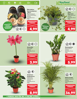 Kaufland 2.1. - 7.1. - Kaufland Rožňava