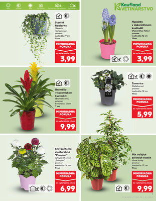 Kaufland 8.1. - 14.1. - Kaufland Ružomberok