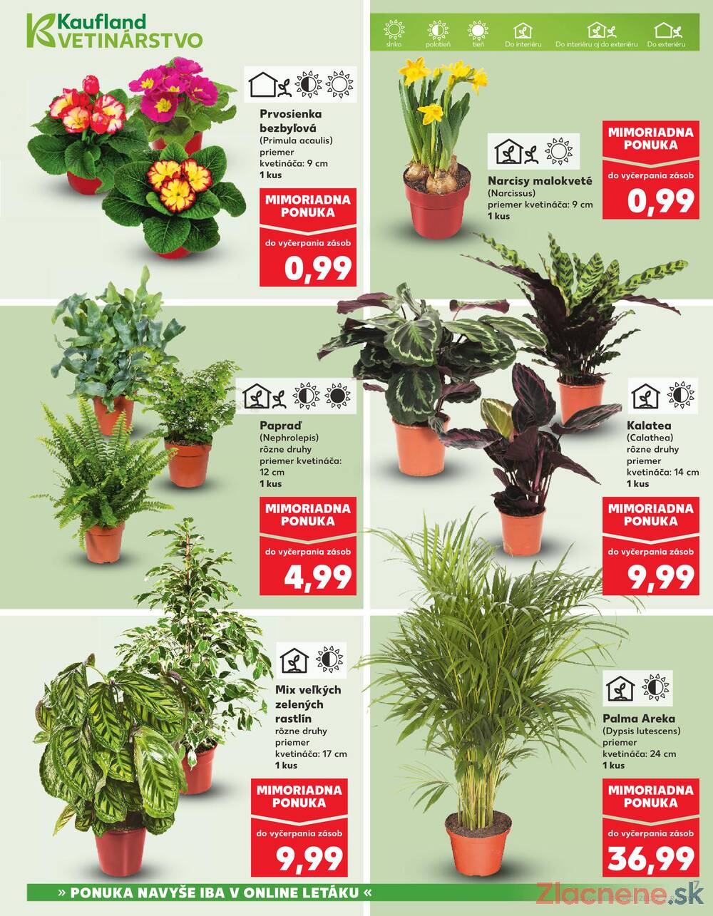 Leták Kaufland - Kaufland 29.1. - 4.2. - Kaufland Humenné - strana 7