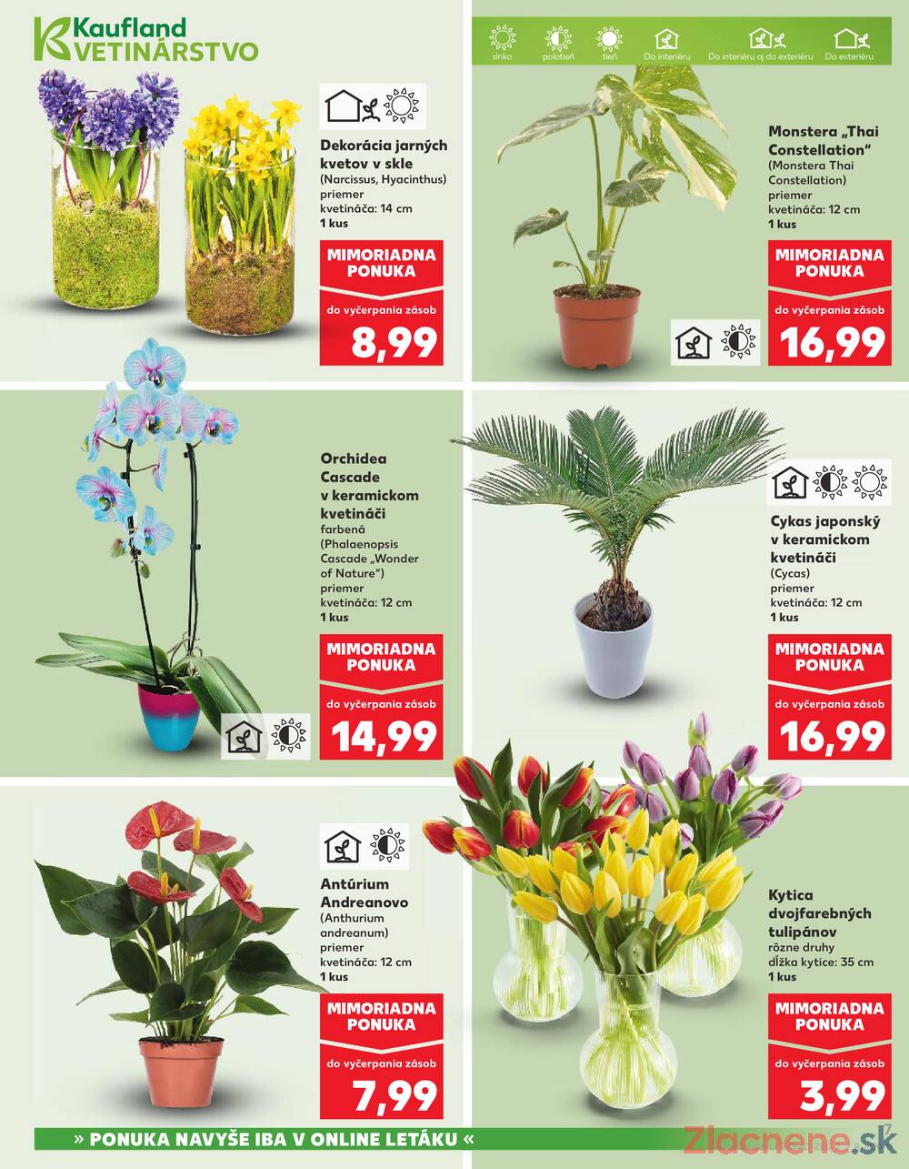 Leták Kaufland - Kaufland 5.2. - 11.2. - Kaufland (A. H. Škultétyho, Veľký Krtíš) - strana 7