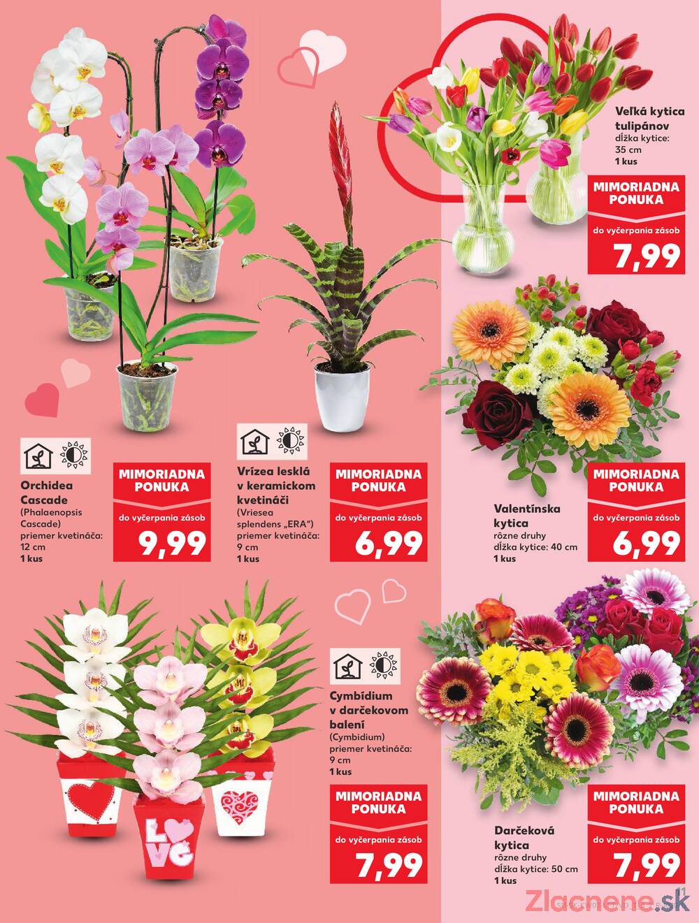 Kaufland 12.2. - 18.2. - Kaufland Zlaté Moravce