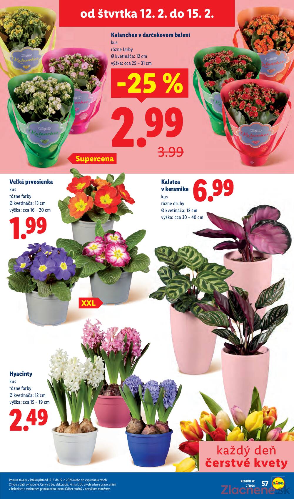 Lidl od štvrtka 12.2. - 15.2.