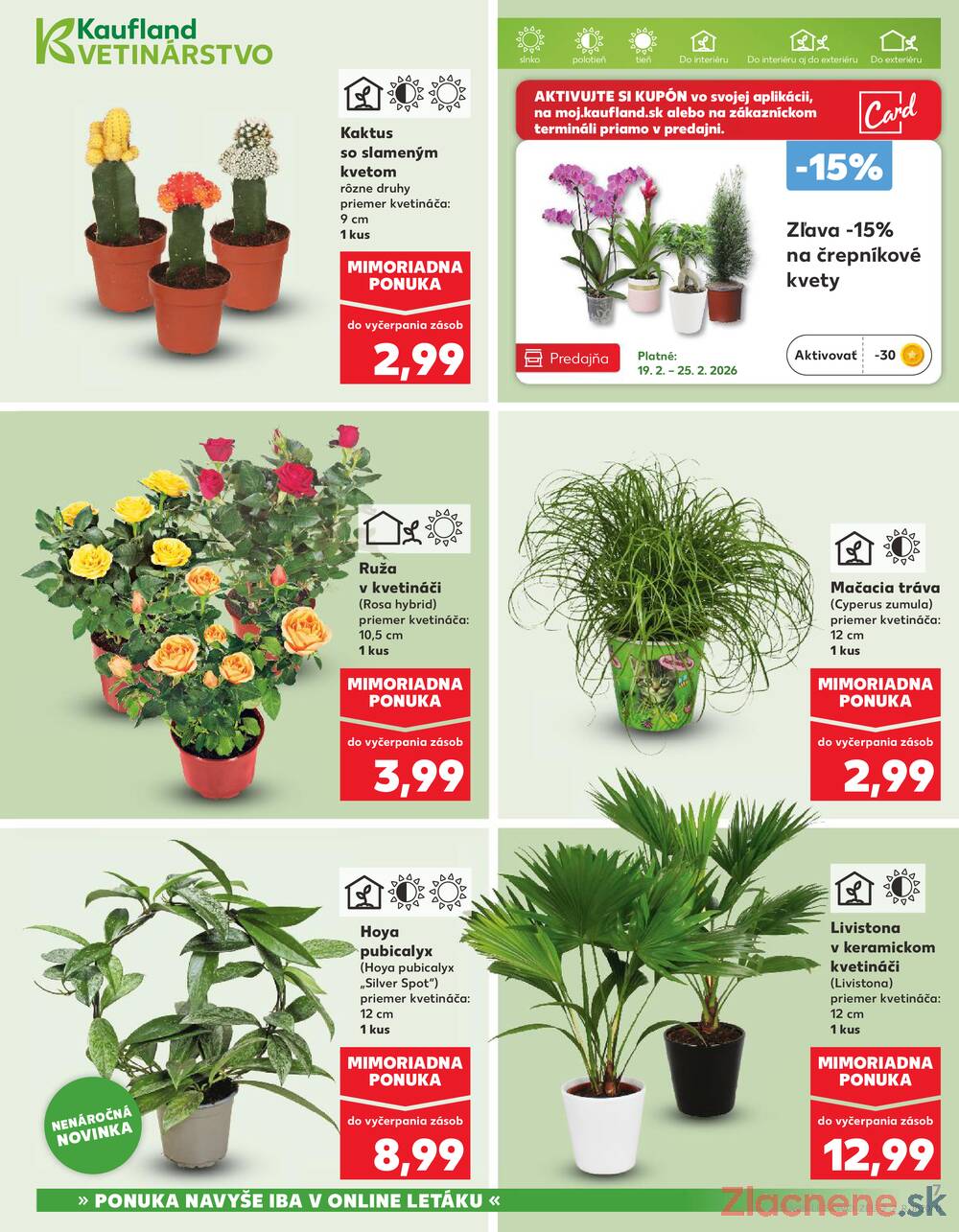 Kaufland 19.2. - 25.2. - Kaufland Bardejov