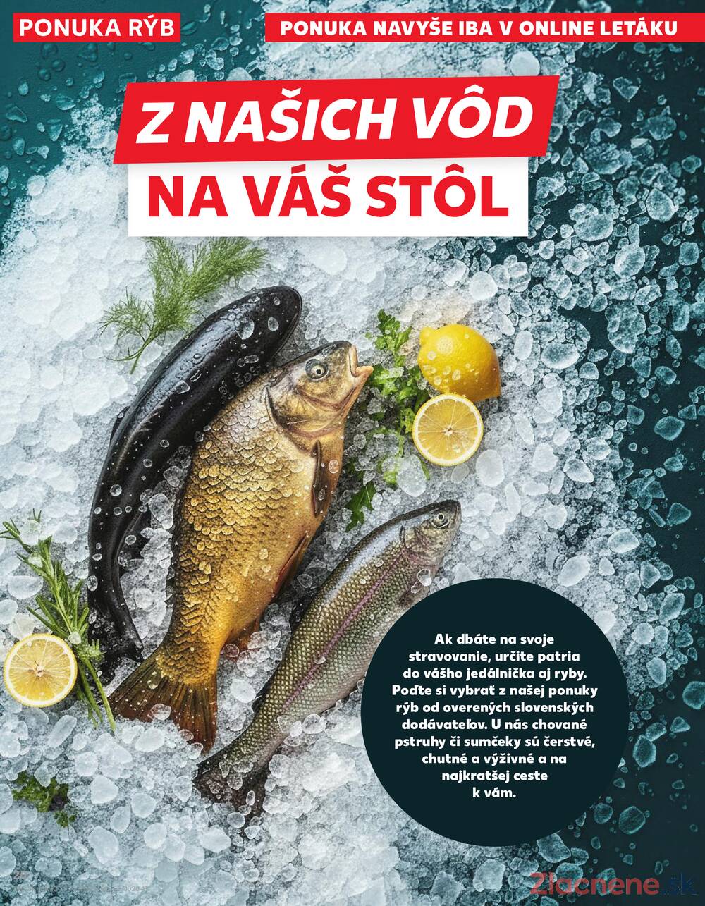 Kaufland 5.3. - 11.3. - Kaufland Dubnica nad Váhom