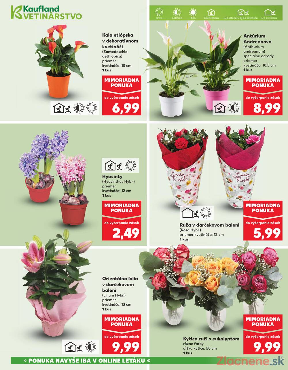 Leták Kaufland - Kaufland 5.3. - 11.3. - Kaufland Stará Ľubovňa - strana 7