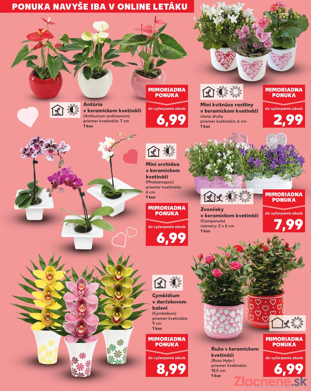 Leták Kaufland - Kaufland 5.3. - 11.3. - Kaufland Rožňava - strana 9 Leták Kaufland - Kaufland 5.3. - 11.3. - Kaufland Rožňava - strana 9