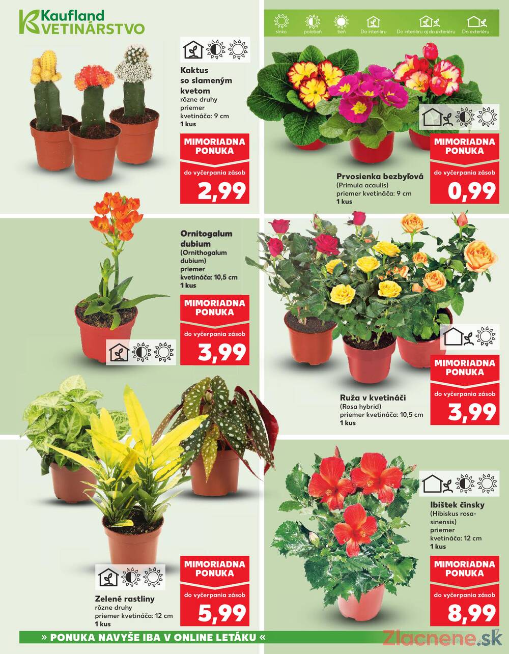 Kaufland 12.3. - 18.3. - Kaufland Považská Bystrica - Centrum