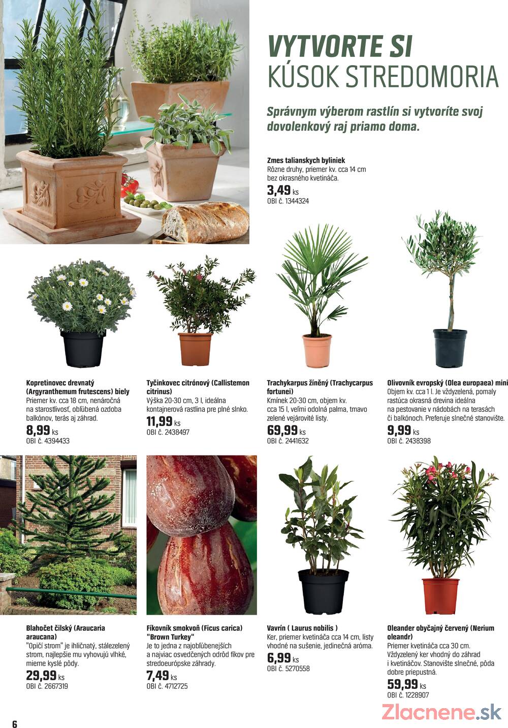 Leták OBI - OBI Magazín rastlín od 14.4. do 14.5.2026 - strana 6