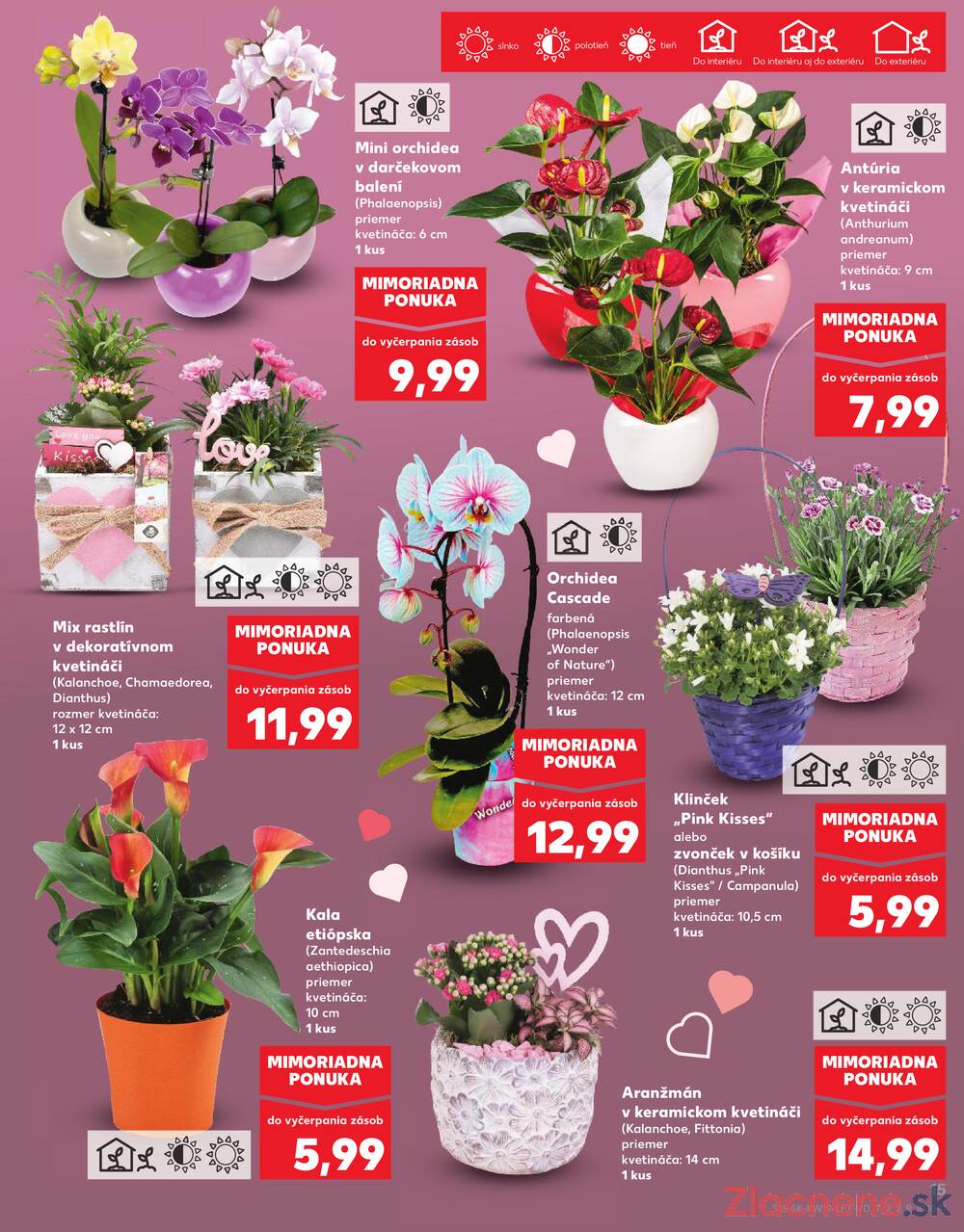 Kaufland 7.5. - 13.5. - Kaufland Bytča