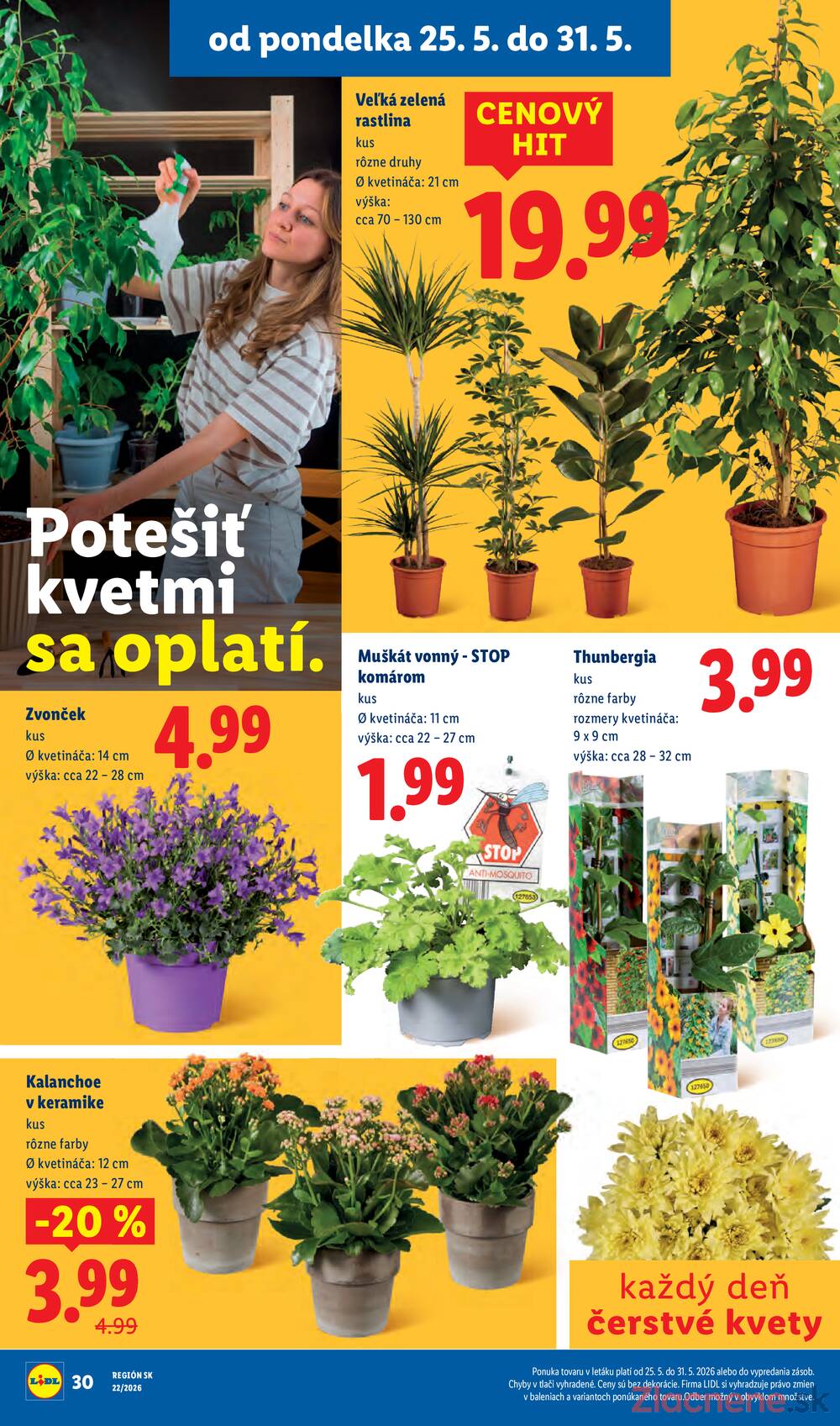 Lidl do 31.5.