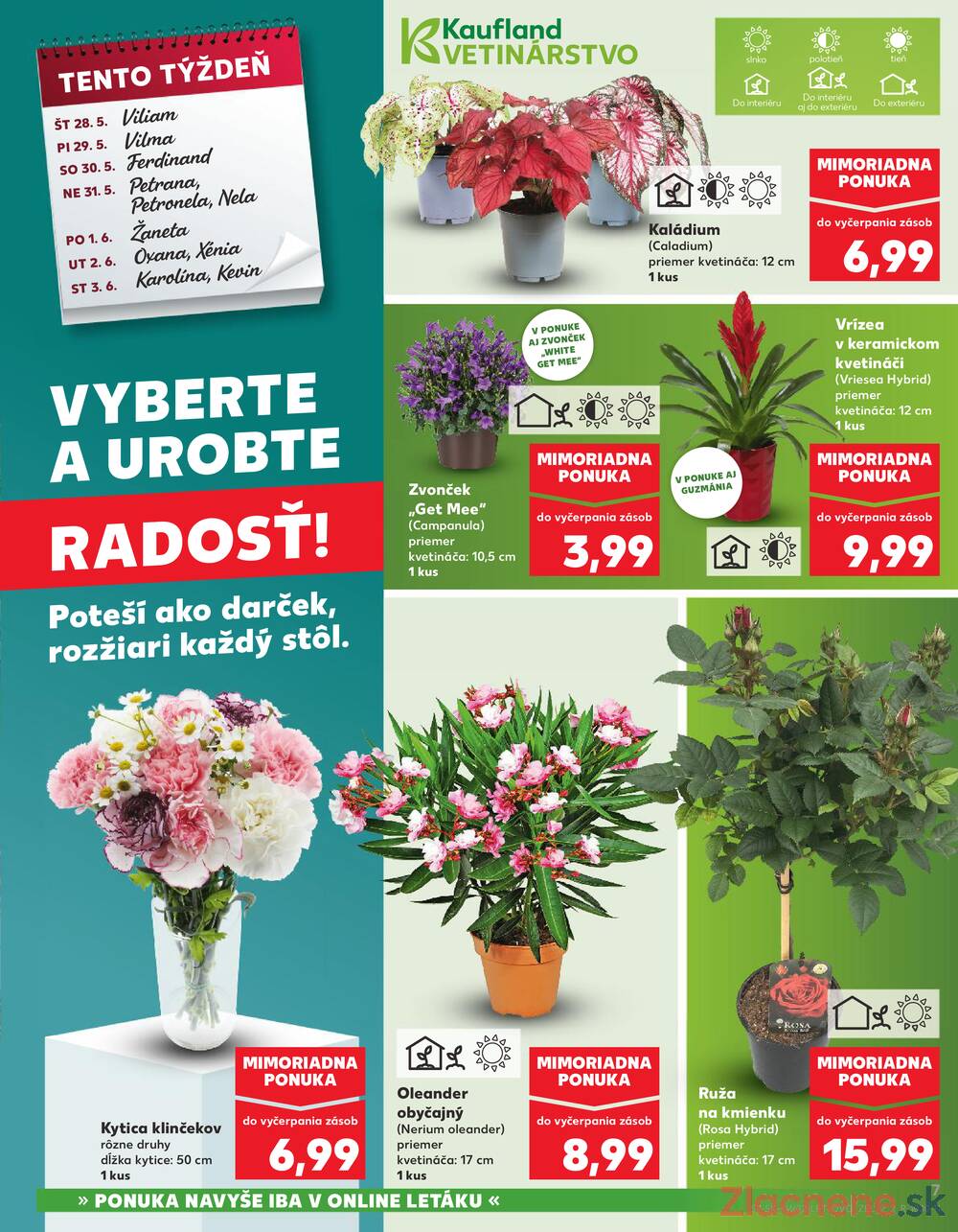Kaufland 28.5. - 3.6. - Kaufland (A. H. Škultétyho, Veľký Krtíš)