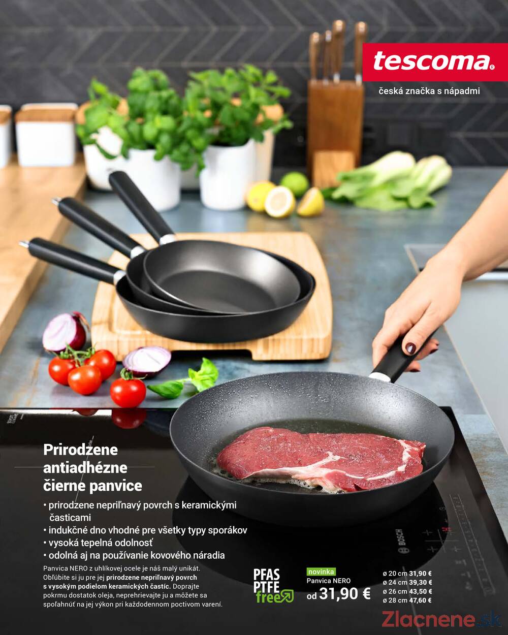 Tescoma katalog od 1.6. do 31.7.2026