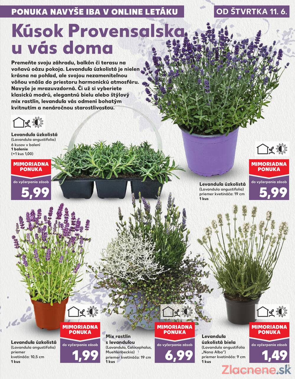 Kaufland 11.6. - 17.6. - Kaufland Rožňava