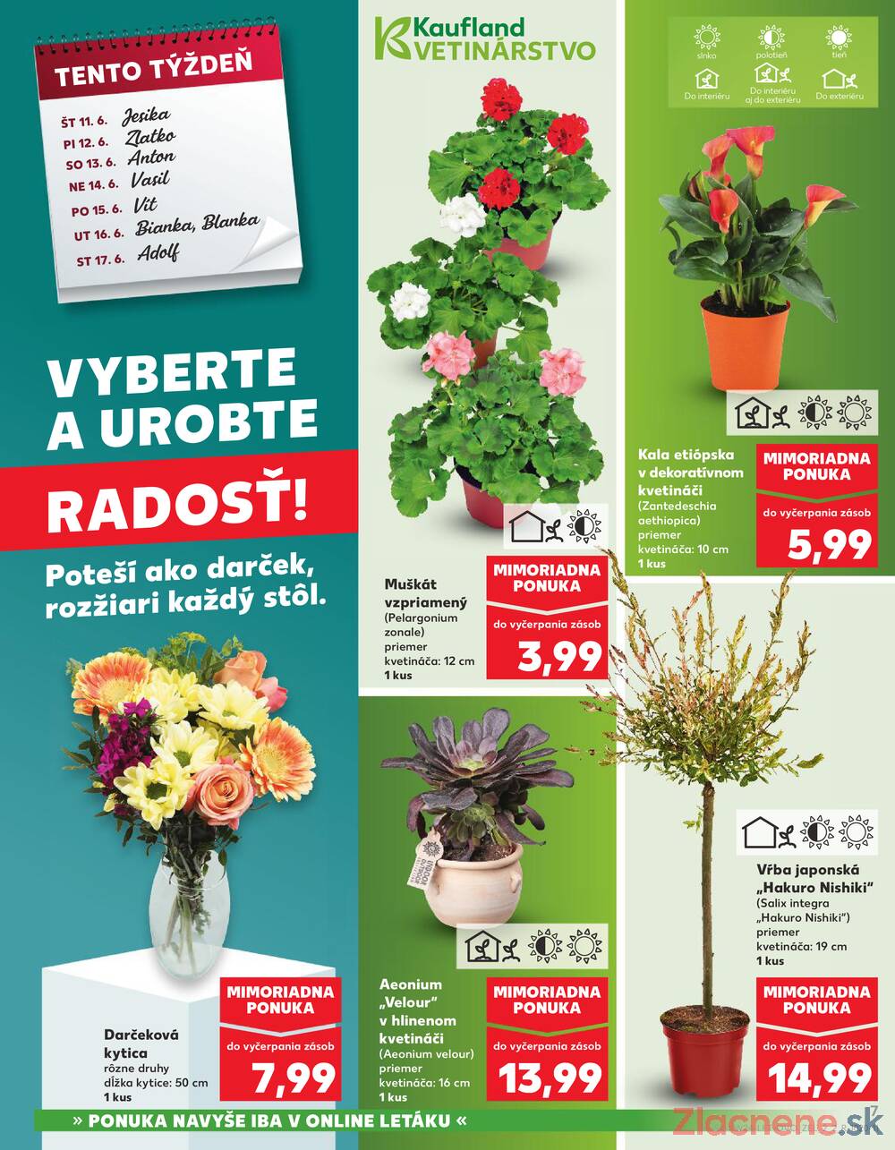 Kaufland 11.6. - 17.6. - Kaufland Trnava - Nová ul.