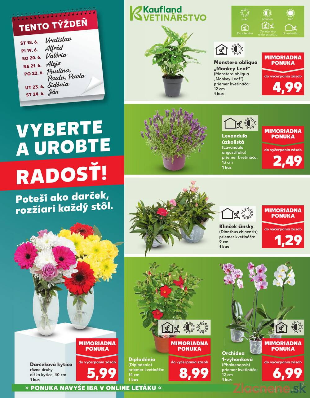 Kaufland 18.6. - 24.6. - Kaufland Detva
