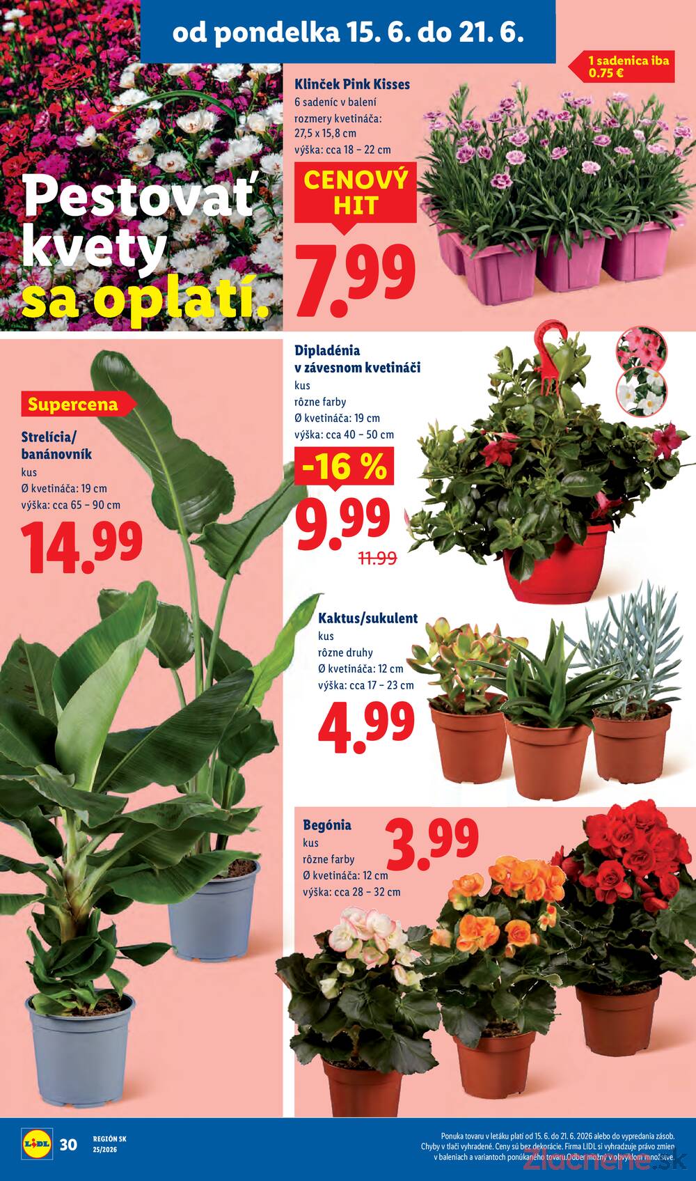 Lidl do 21.6.