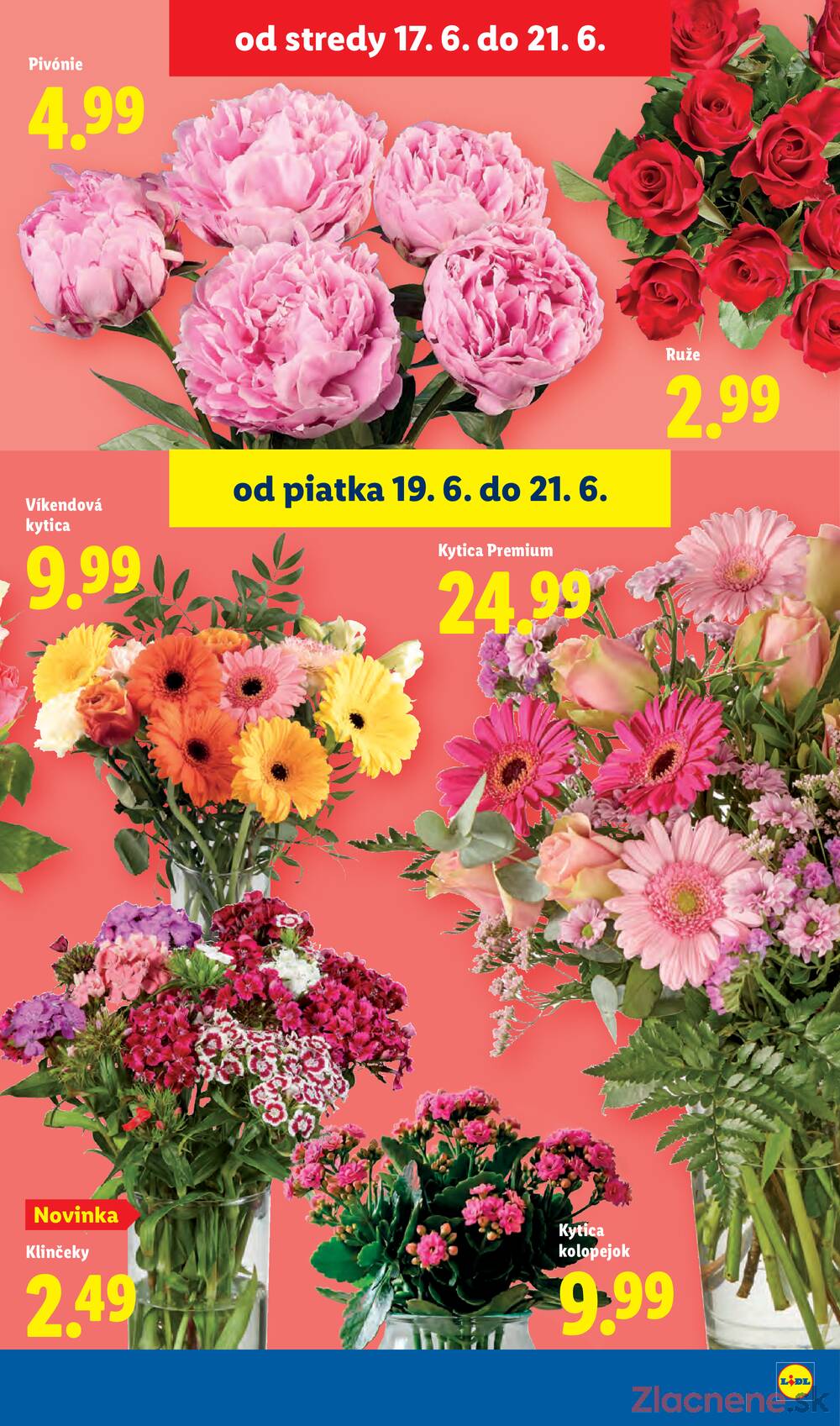 Lidl do 21.6.