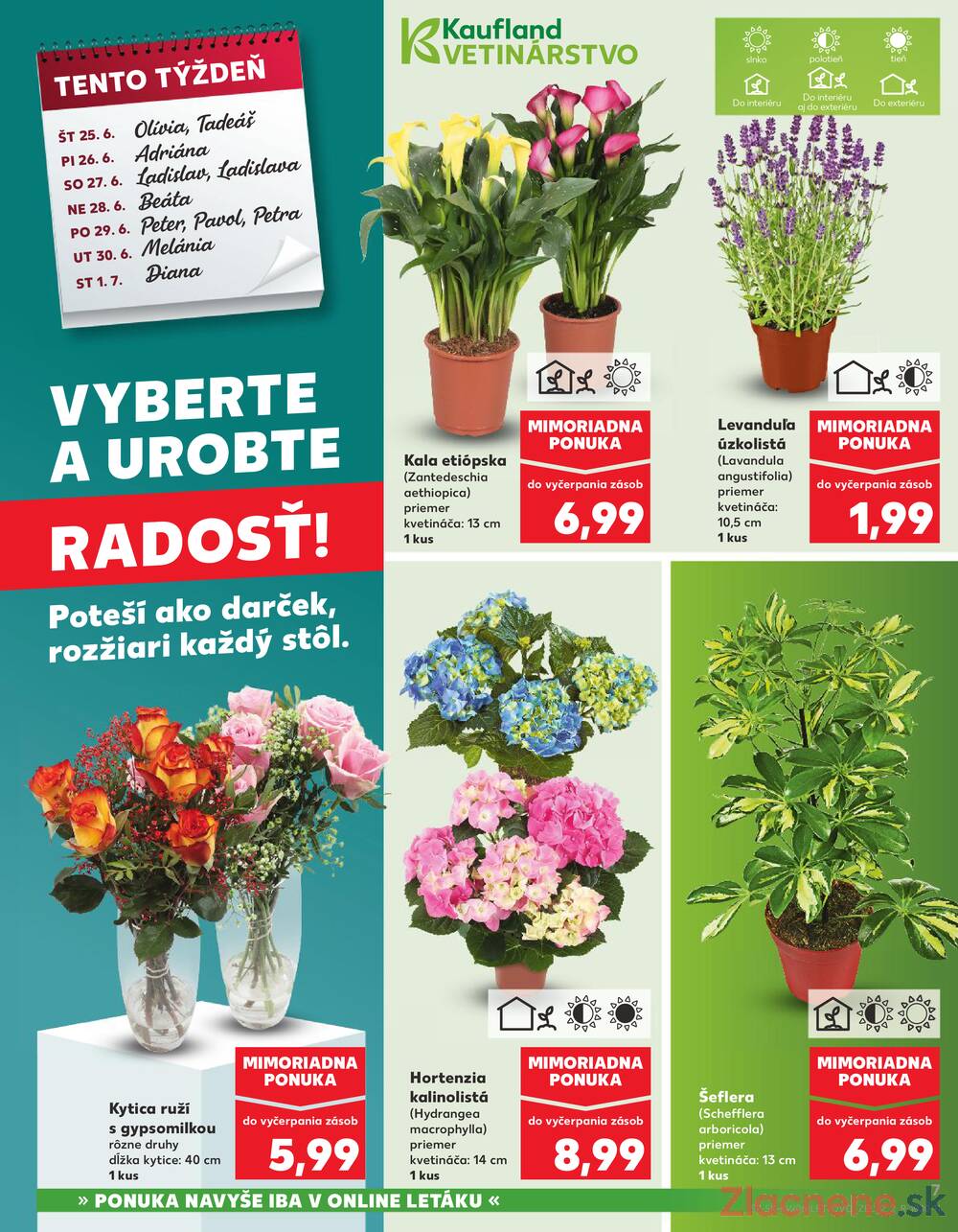 Kaufland 25.6. - 1.7. - Kaufland Sereď