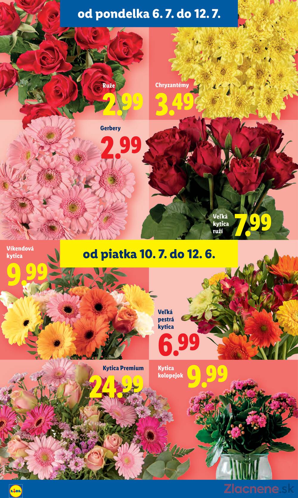 Lidl do 12.7.
