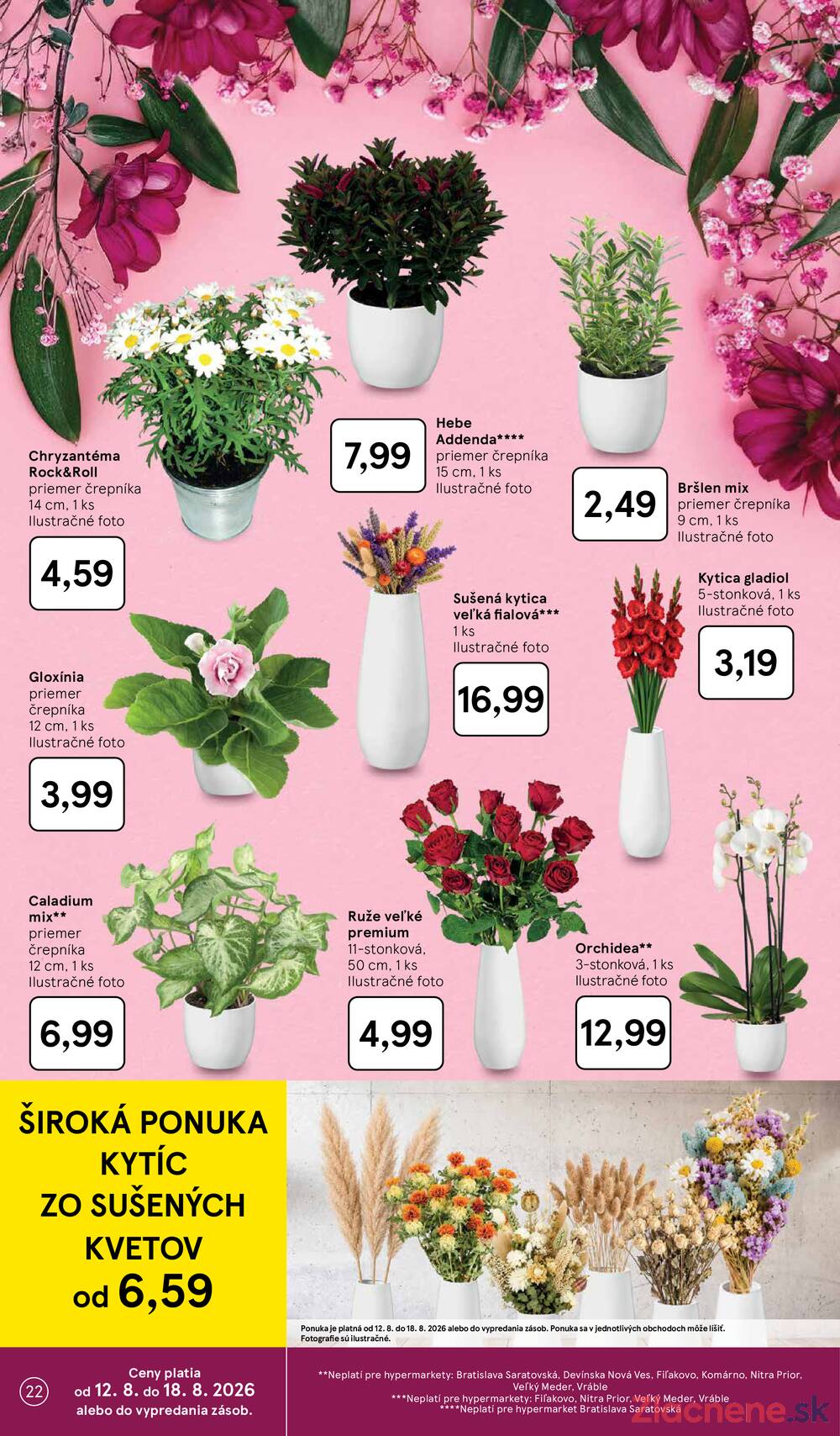 Tesco hypermarkety 12.8. - 18.8.